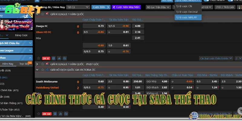 Các hình thức cá cược tại SABA Thể Thao