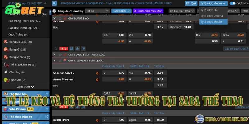 Tỷ lệ kèo và hệ thống trả thưởng tại SABA Thể Thao